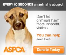 Donate -ASPCA